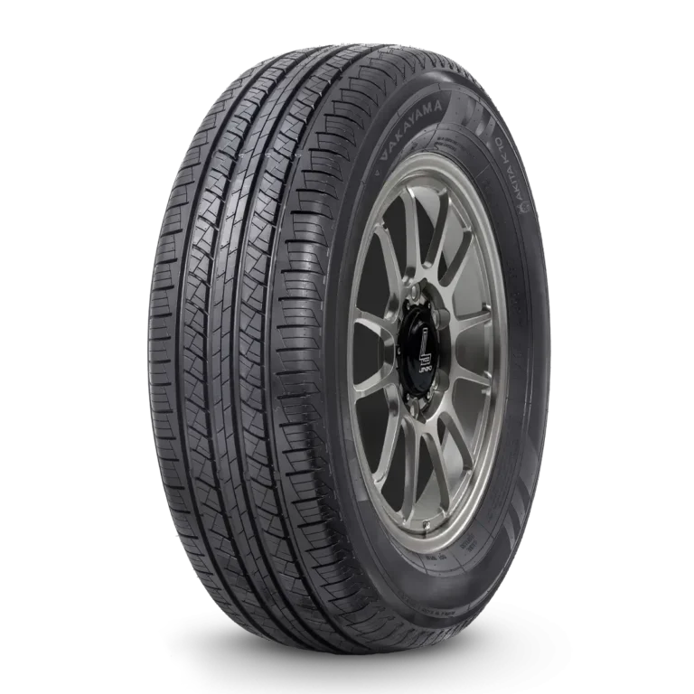 VAKAYAMA AKITA K10 tire – product photo showing tread design