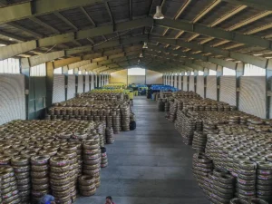 انبار پی تی سی گروپ- تصویر داخل سوله